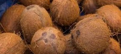 தேங்காயின் விலையில் பாரிய மாற்றம் !