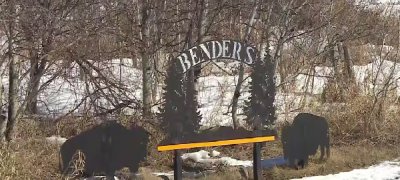 வீடொன்றில் நான்கு சடலங்கள் மீட்பு!