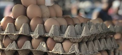 முட்டை இறக்குமதிக்கு தடை !