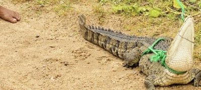 மட்டக்களப்பு வாழ் மக்களுக்கு எச்சரிக்கை!