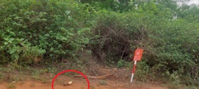 வலி.வடக்கில் அண்மையில் விடுவிக்கப்பட்ட காணிக்குள் செல்ல தடைவிதிக்கப்பட்டுள்ளது!