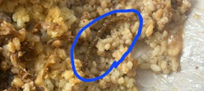 யாழில் உணவு பொதிக்குள் மட்டத்தேள் - உணவகத்திற்கு சீல்