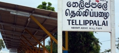 யாழ். தெல்லிப்பழை பெண் மரணம்: தலைமறைவான மகன் கைது!