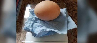 கோழி முட்டை மூலம் பிரபலமான பெண்!