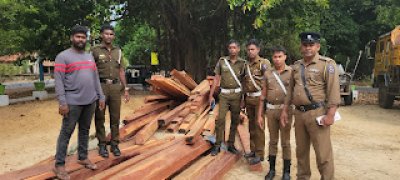யாழில் 30 இலட்ச ரூபாய் பெறுமதியான பாலை மரக்குற்றிகள் மீட்பு - சந்தேகநபர்கள் தப்பியோட்டம்!