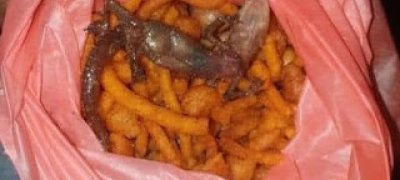 யாழில். மிக்சருக்குள் பொரித்த பல்லி!