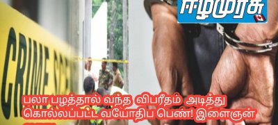 பலா பழத்தால் வந்த  விபரீதம்  அடித்து கொல்லப்பட்ட வயோதிப பெண்! இளைஞன் கைது