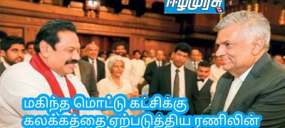 மகிந்த மொட்டு கட்சிக்கு கலக்கத்தை ஏற்படுத்திய ரணிலின் இரகசிய திட்டம்