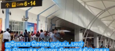 ஐரோப்பா செல்ல முற்பட்ட பலர் கட்டுநாயக்க விமான நிலையத்தில் கைது