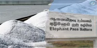 மாபியாக்களின் பிடிக்குள் ஆனையிறவு உப்பளம்..?