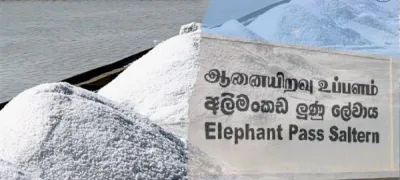 மாபியாக்களின் பிடிக்குள் ஆனையிறவு உப்பளம்..?