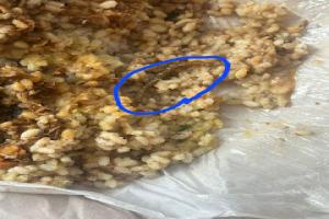யாழில் உணவு பொதிக்குள் மட்டத்தேள் - உணவகத்திற்கு சீல்