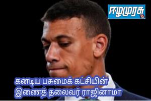 கனடிய பசுமைக் கட்சியின் இணைத் தலைவர் ராஜினாமா