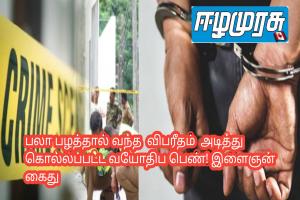பலா பழத்தால் வந்த  விபரீதம்  அடித்து கொல்லப்பட்ட வயோதிப பெண்! இளைஞன் கைது