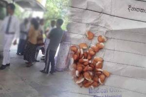 மூலிகை விதைகளை உட்கொண்ட 22 மாணவர்கள் வைத்தியசாலையில் சேர்ப்பு