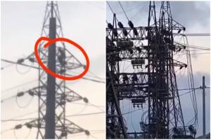 குடும்பத் தகராறால் மின்சாரக் கோபுரத்தில் ஏறிய நபருக்கு, நஷ்டஈடு செலுத்த உத்தரவு!
