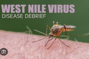 மேற்கு நைல் வைரஸ் (West Nile Virus) ஒன்டாரியோ குடும்பங்களின் வாழ்க்கையை எவ்வாறு மாற்றியது