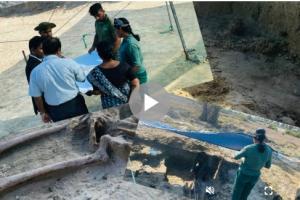 செம்மணி புதைகுழியிலிருந்து மீட்கப்பட்ட கைவளையல்
